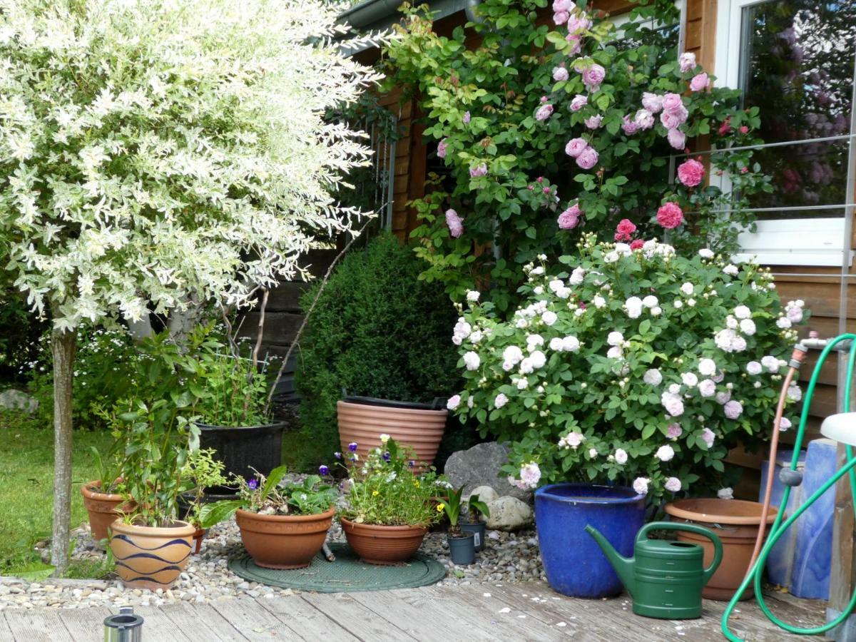 4-Sterne Ferienhaus Roesslewiese Hinterzarten Εξωτερικό φωτογραφία